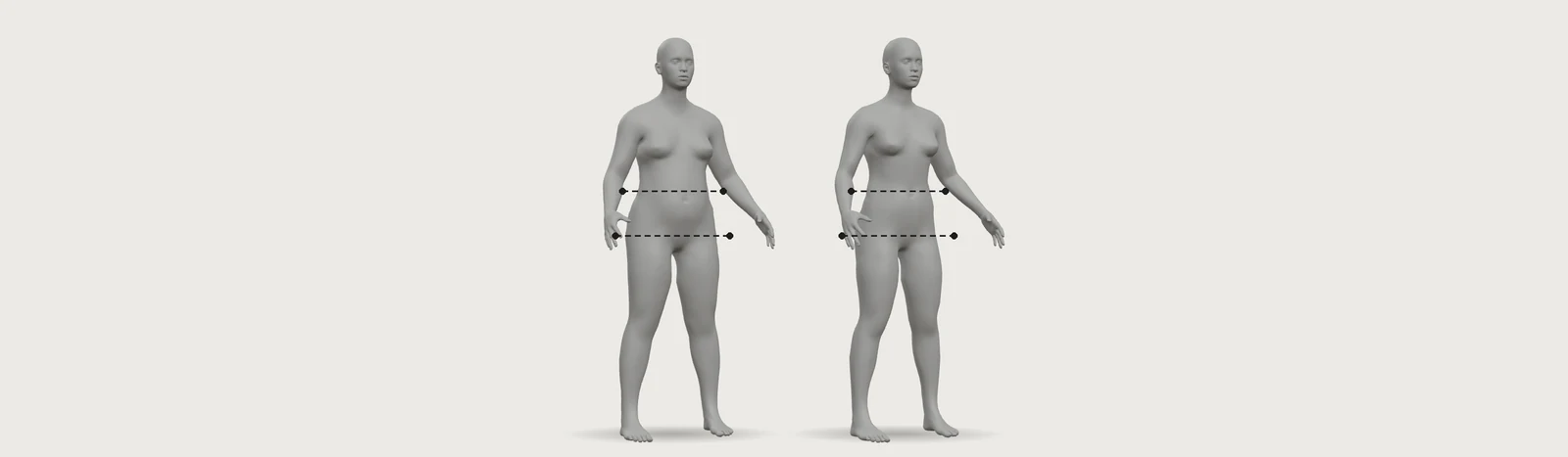 3D female bodies, Now and Goal, with waist and hip lines