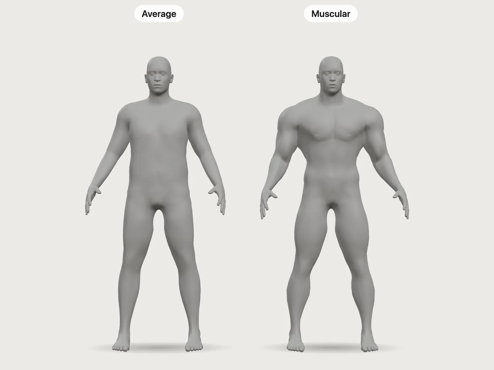 Muscle Takes Less Space Than Fat
